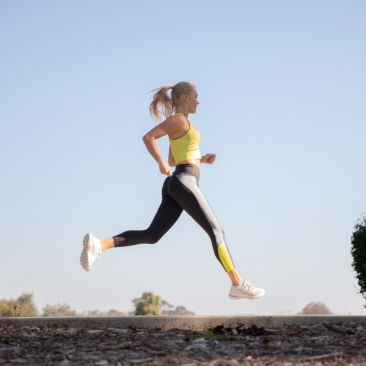 Ausgewählte Artikeln