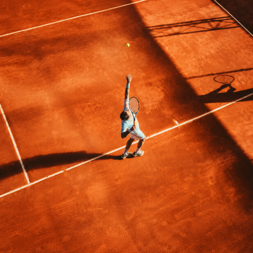 Davis Cup live in Wien